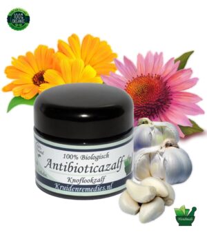 Antibioticazalf natuurlijke antibiotica zalf ontstekkingen knoflook