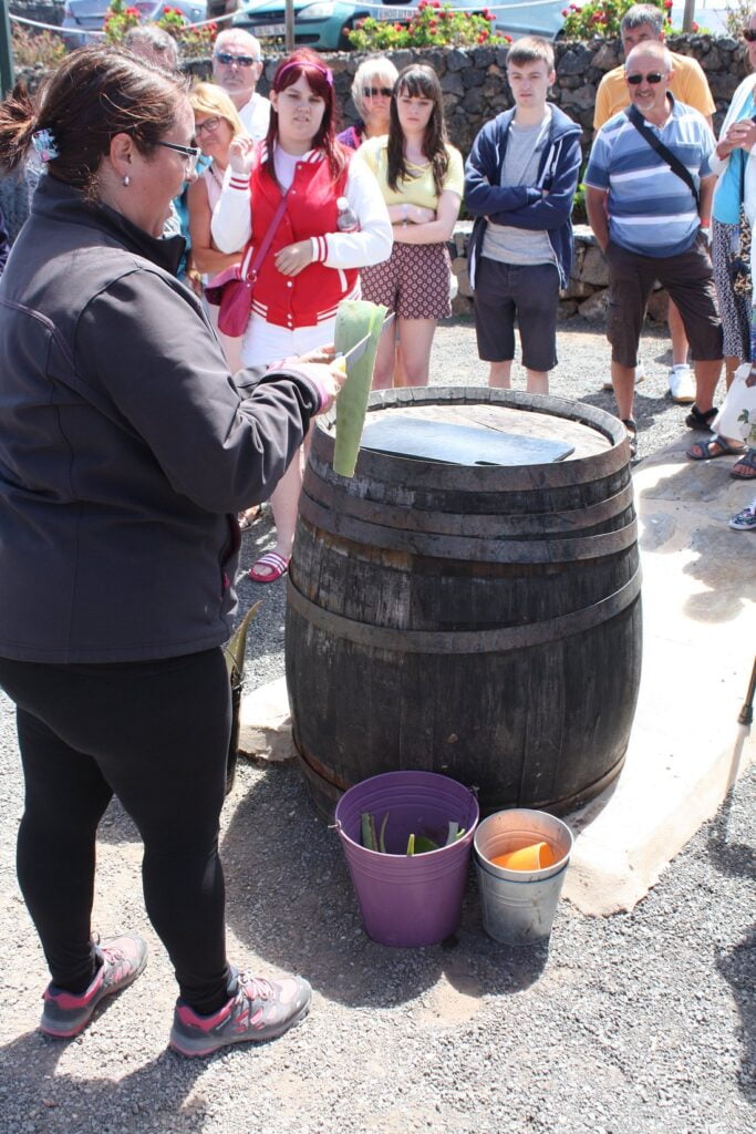 bezoek aan de boer Aloe Vera 