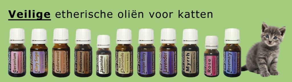aromatherapie voor katten met recepten
