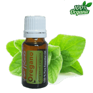 oregano etherische olie