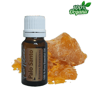 palo Santo heilighout etherische olie biologisch