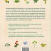 Geneeskrachtige kruiden en planten - Complete raadgever voor het gezin
