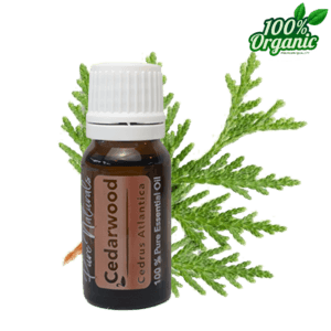 cederhout etherische olie - biologisch - puur - cedarwood oil aromatherpie