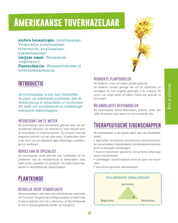 Geneeskrachtige kruiden en planten - Complete raadgever voor het gezin