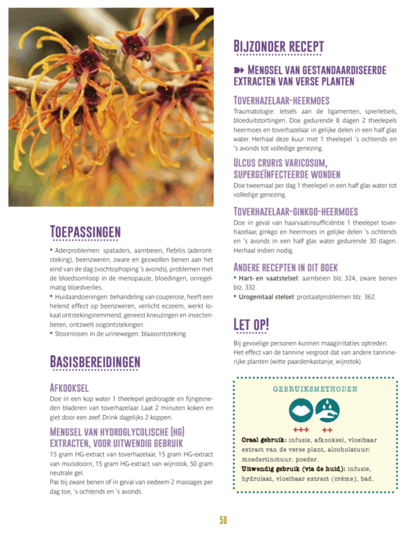 Geneeskrachtige kruiden en planten - Complete raadgever voor het gezin